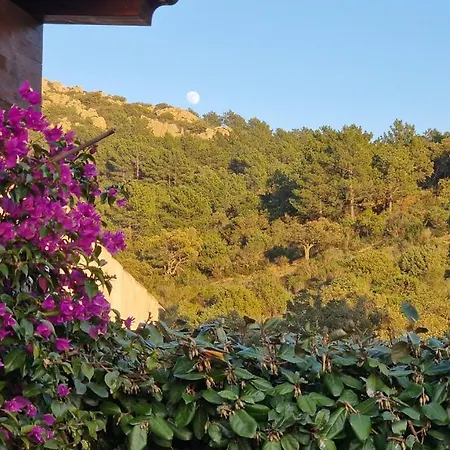 Rifugio Monte Pino Tatil Evi